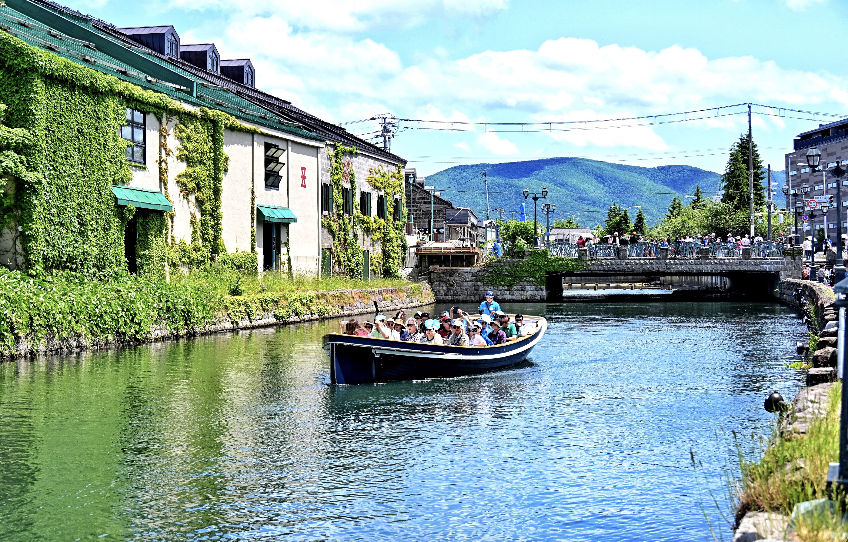 北海道小樽神威岬夏日絕景：神威岬+青之洞窟喂海鷗+小樽運河+白色戀人公園（中英文導遊）