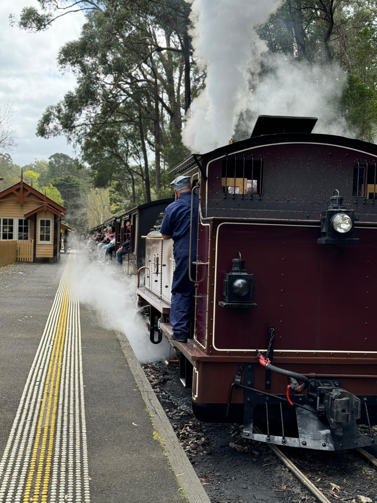 從墨爾本出發的普芬比利蒸汽火車 (Puffing Billy Steam Train) 之旅