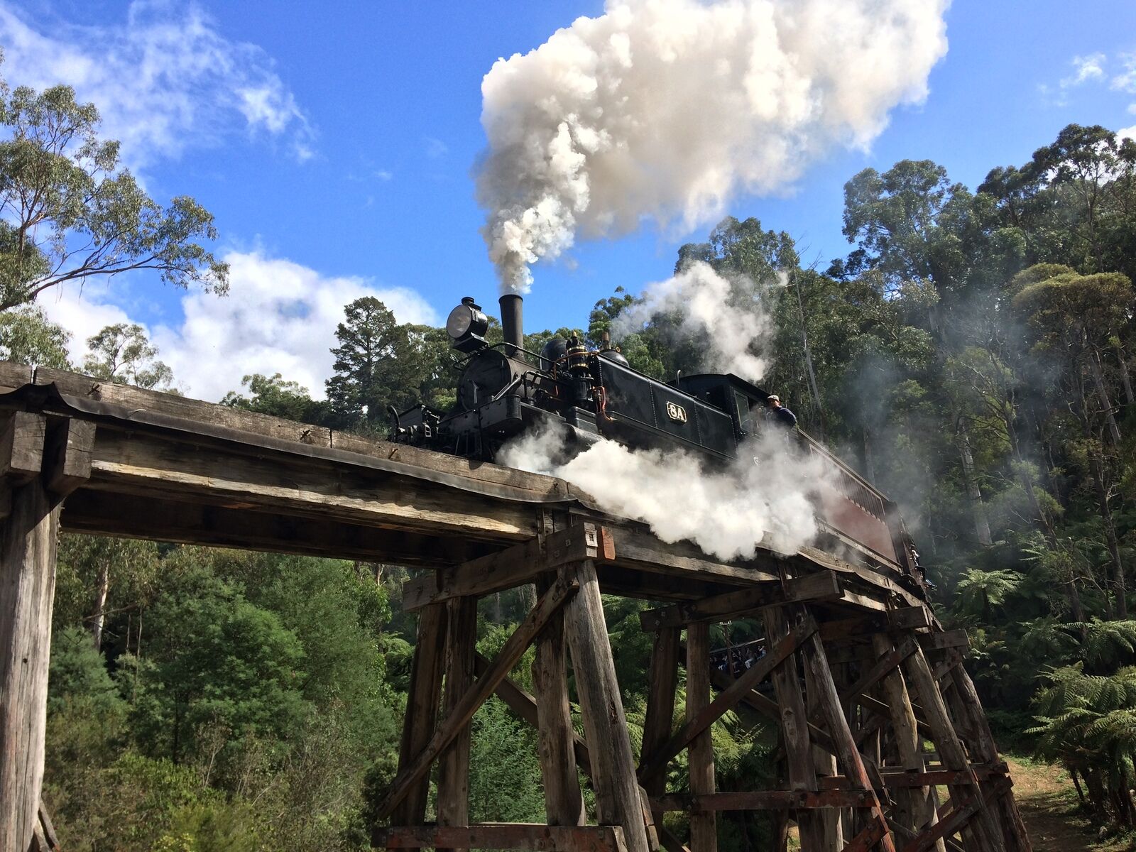 [Korean Guide] Melbourne Puffing Billy Steam Train & Phillip Island Penguin Tour (including Wildlife Safari)