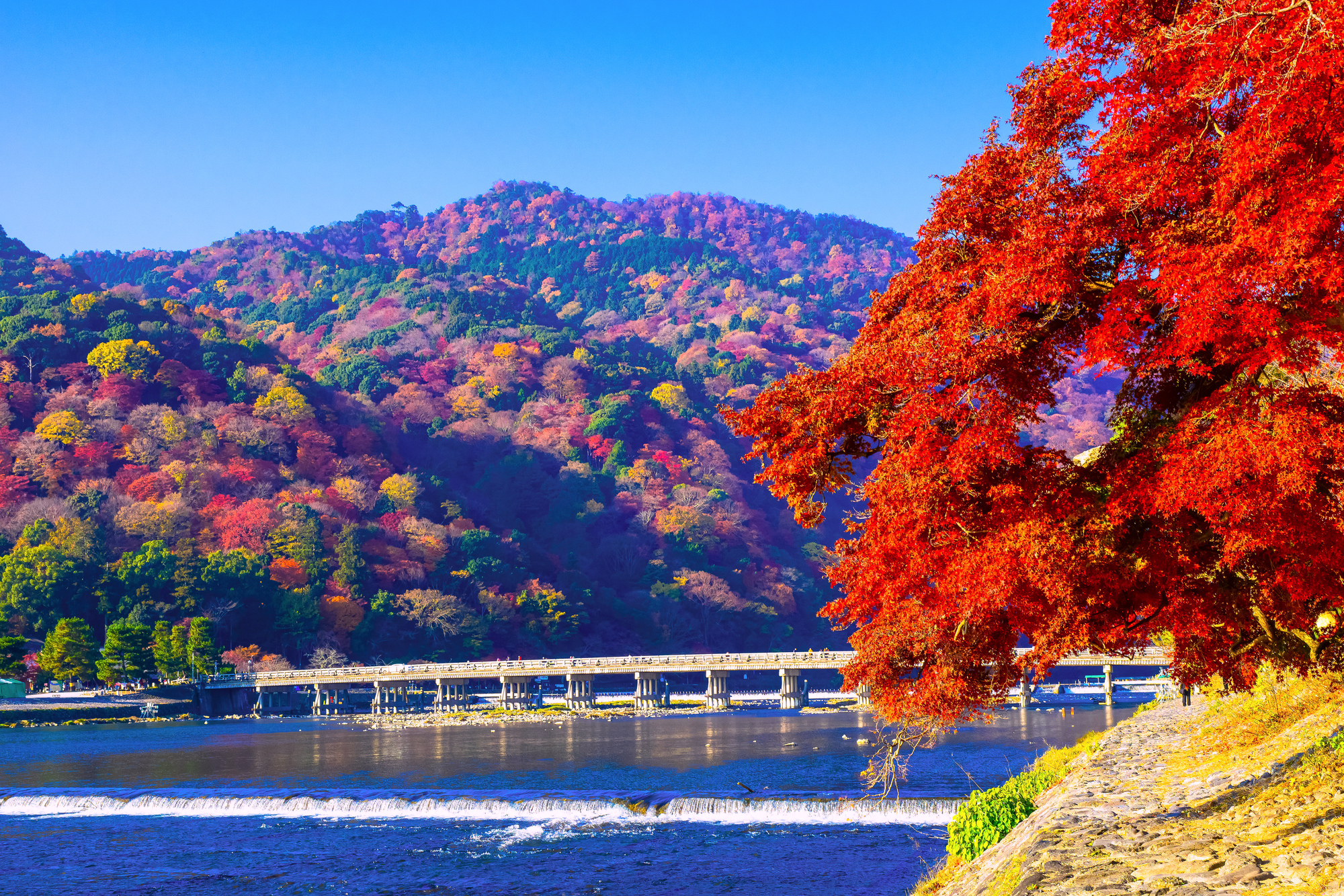 京都伏見稻荷大社 & 嵐山 & 清水寺一日遊