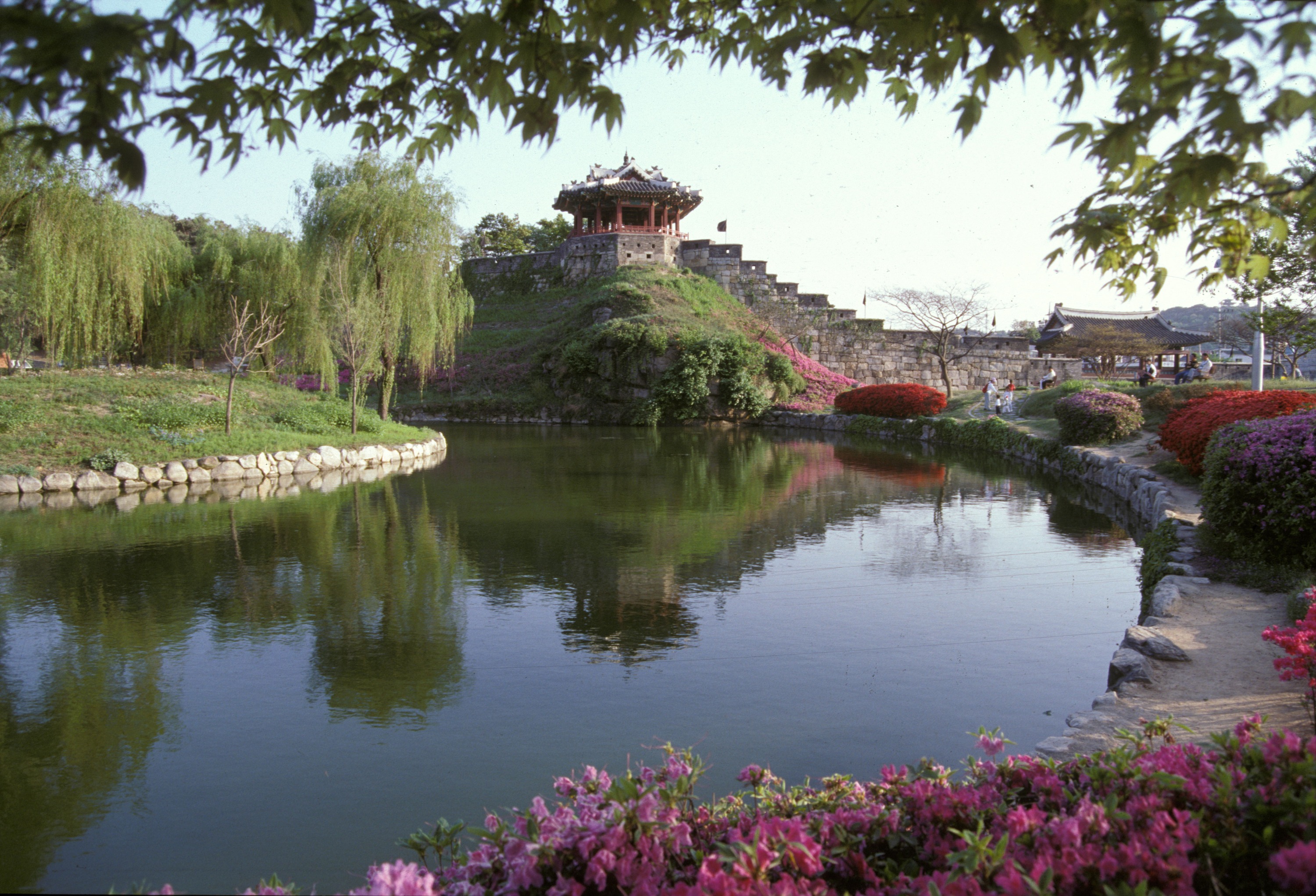 Suwon Hwaseong Night View Tour