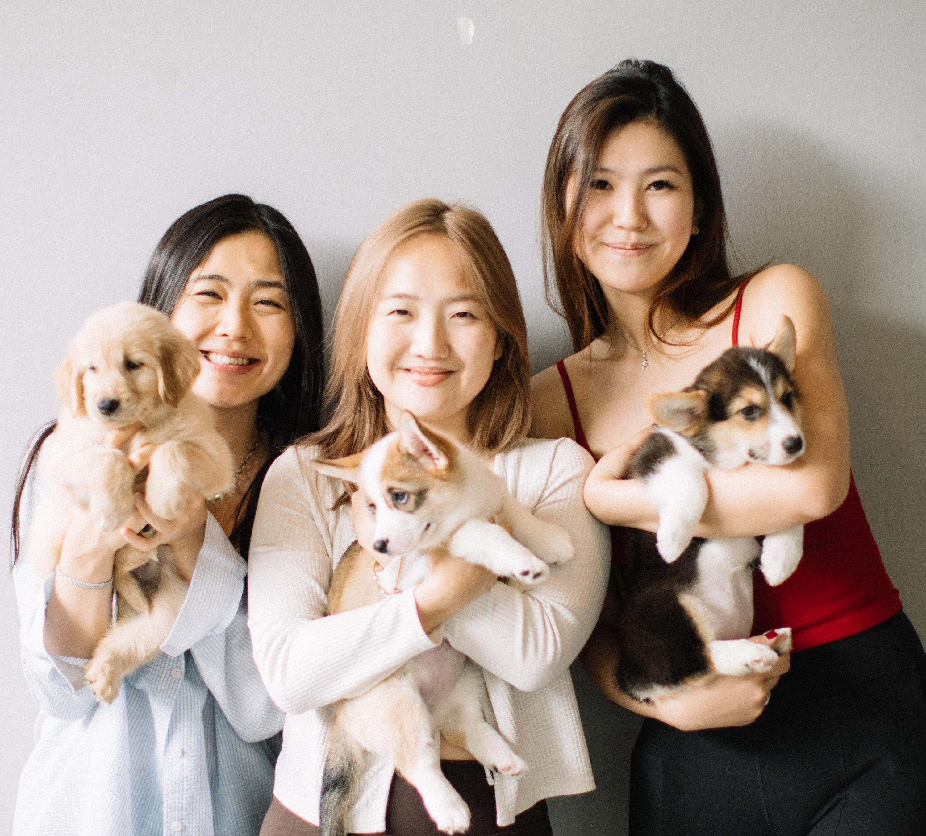 Puppy & Kitten Yoga Therapy with Photo Experience in Bangkok