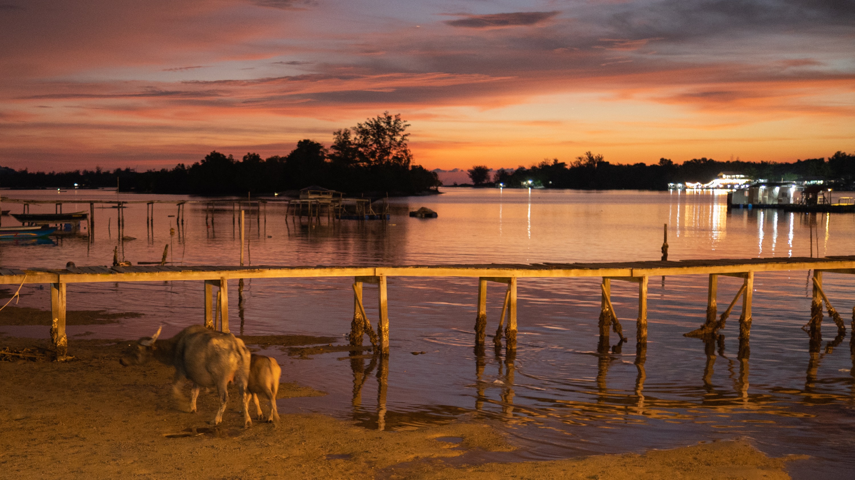 Mengalum Island and Mengkabong River Cruise Day Tour 