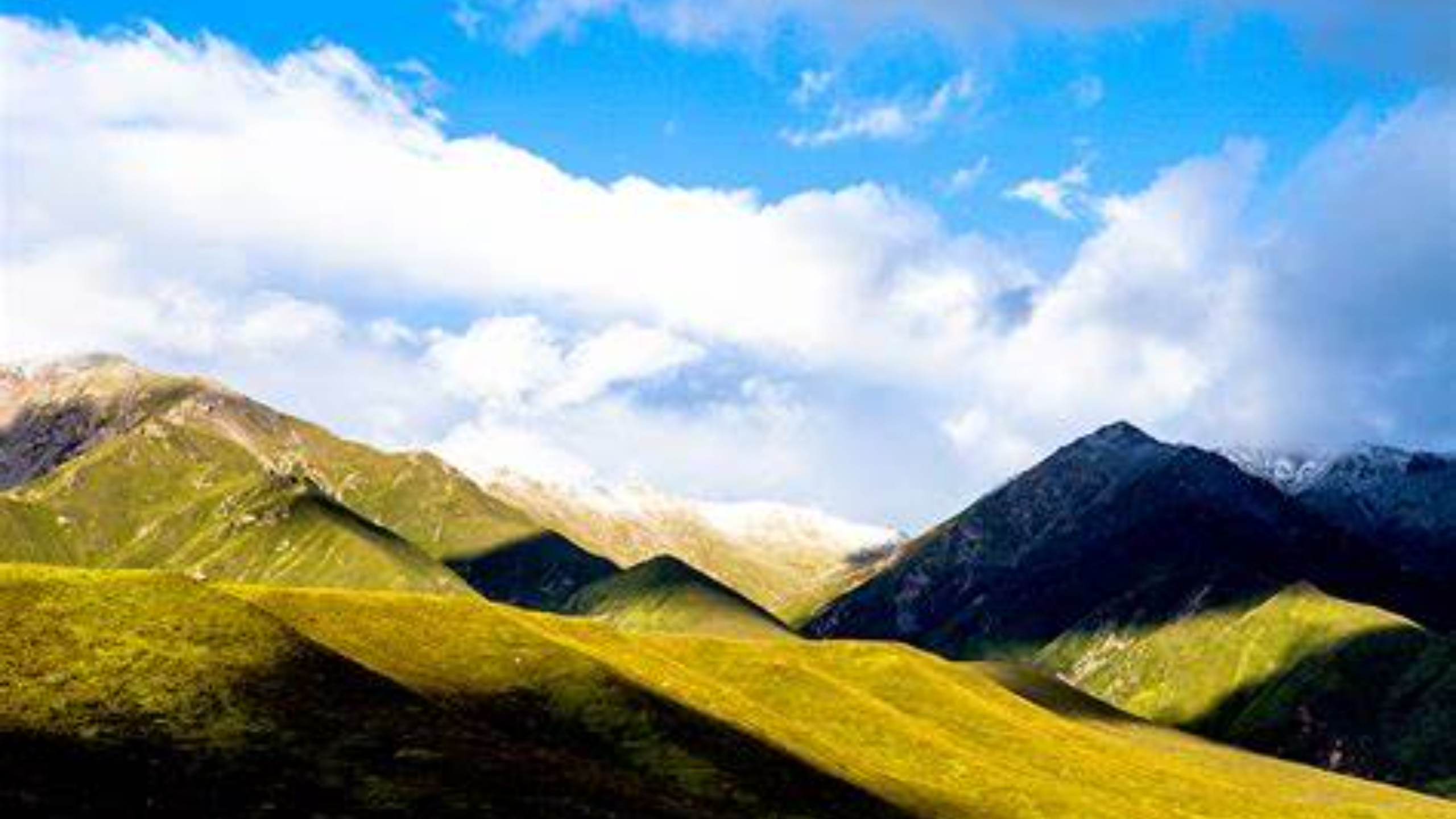 Xining Laji Mountain + Zongkara Tse Half-Day Tour