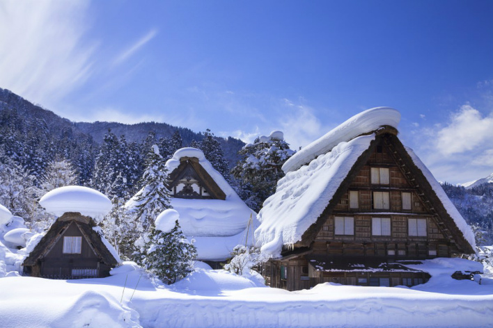 World Heritage Shirakawago and Gokayama 2 Day Bus Tour from Osaka