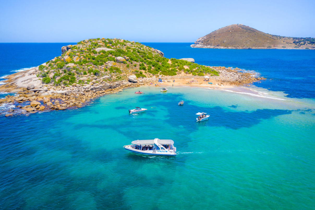 Capture the beauty of the sea on this unforgettable boat tour departing from Victor Harbor