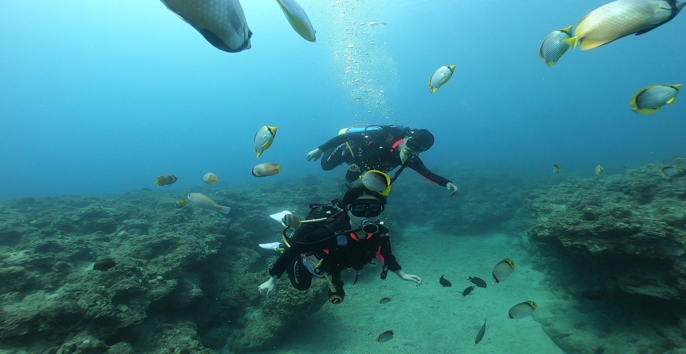 熊潛水Bear Diving - 小琉球岸潛旅遊潛水（需潛水執照）