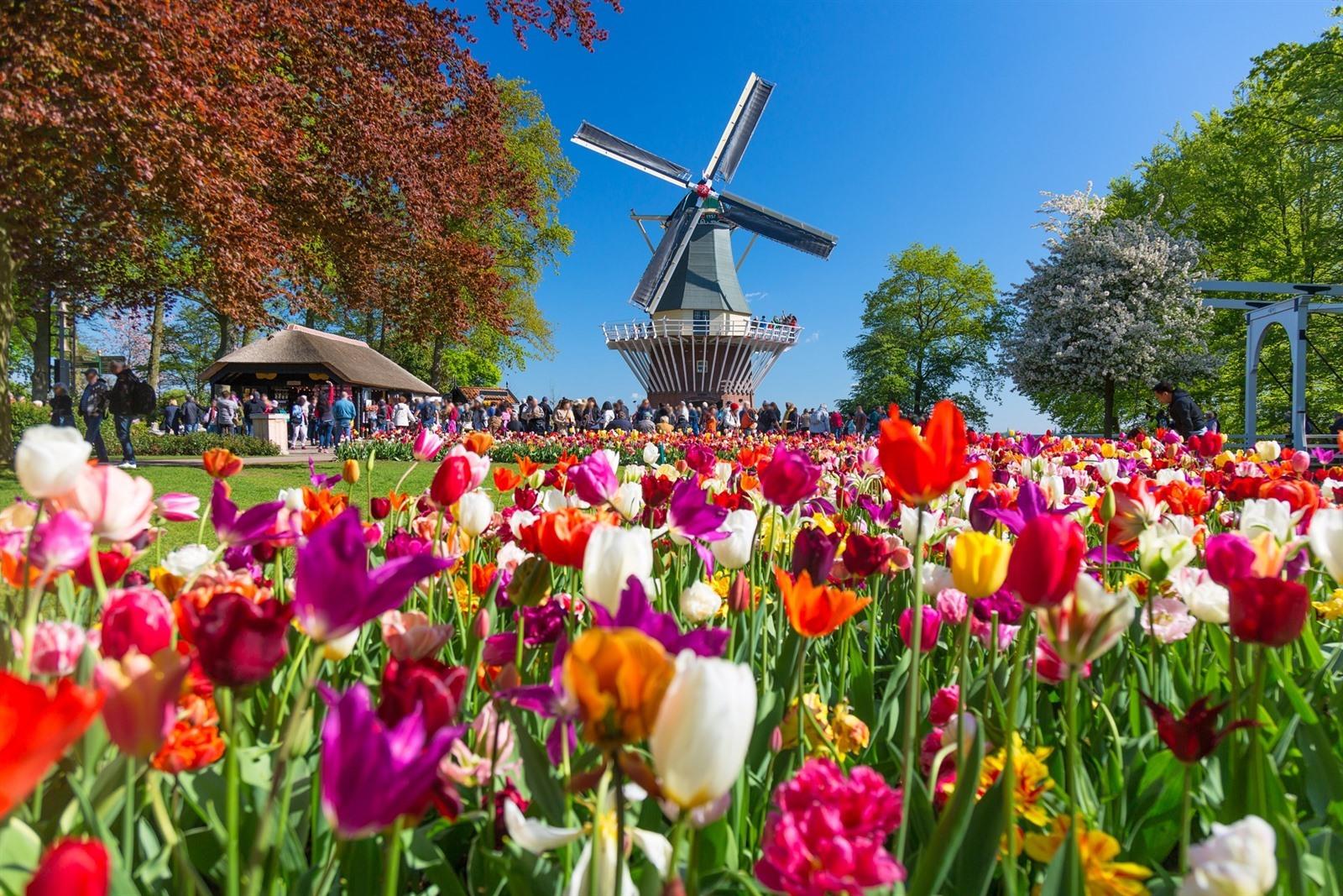 Zaanse Schans and Keukenhof Day Trip from Amsterdam