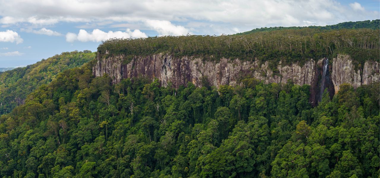 Spring Brook National Park Self Guided Driving Tour