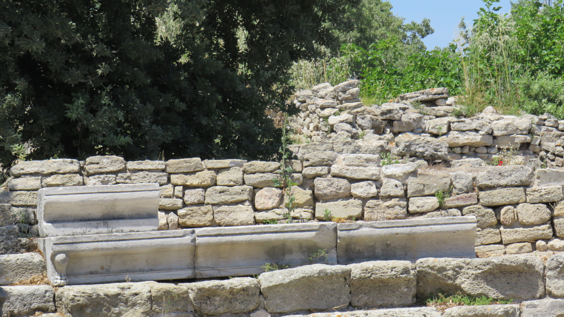 Image 4