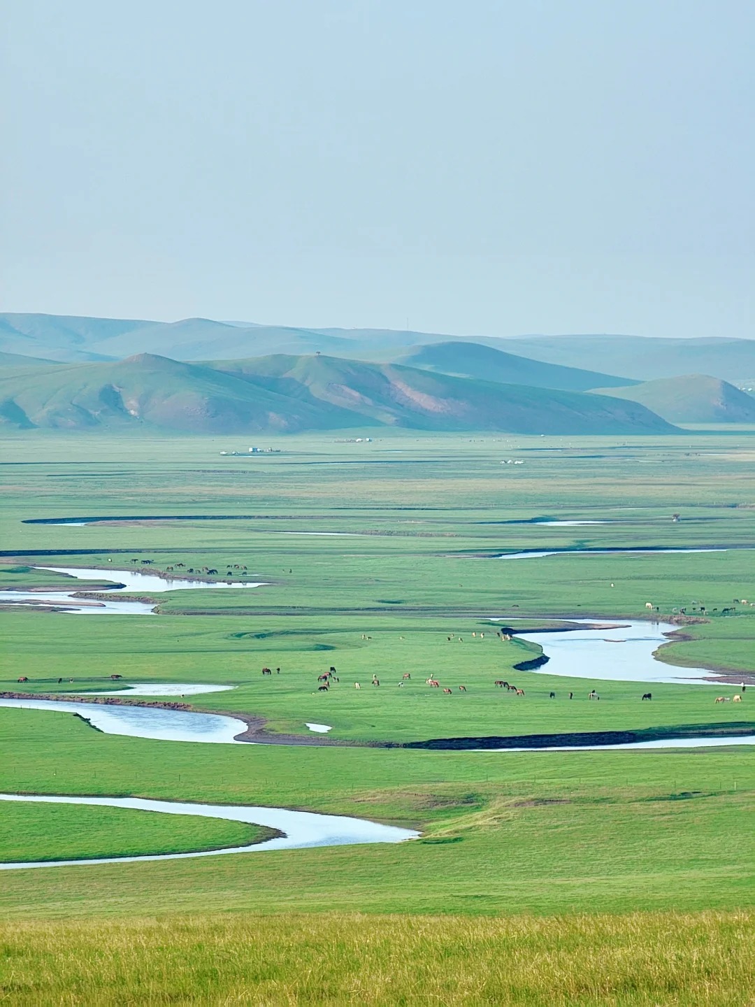 Hulunbuir Grassland, Moergele River one-day tour with Chinese service