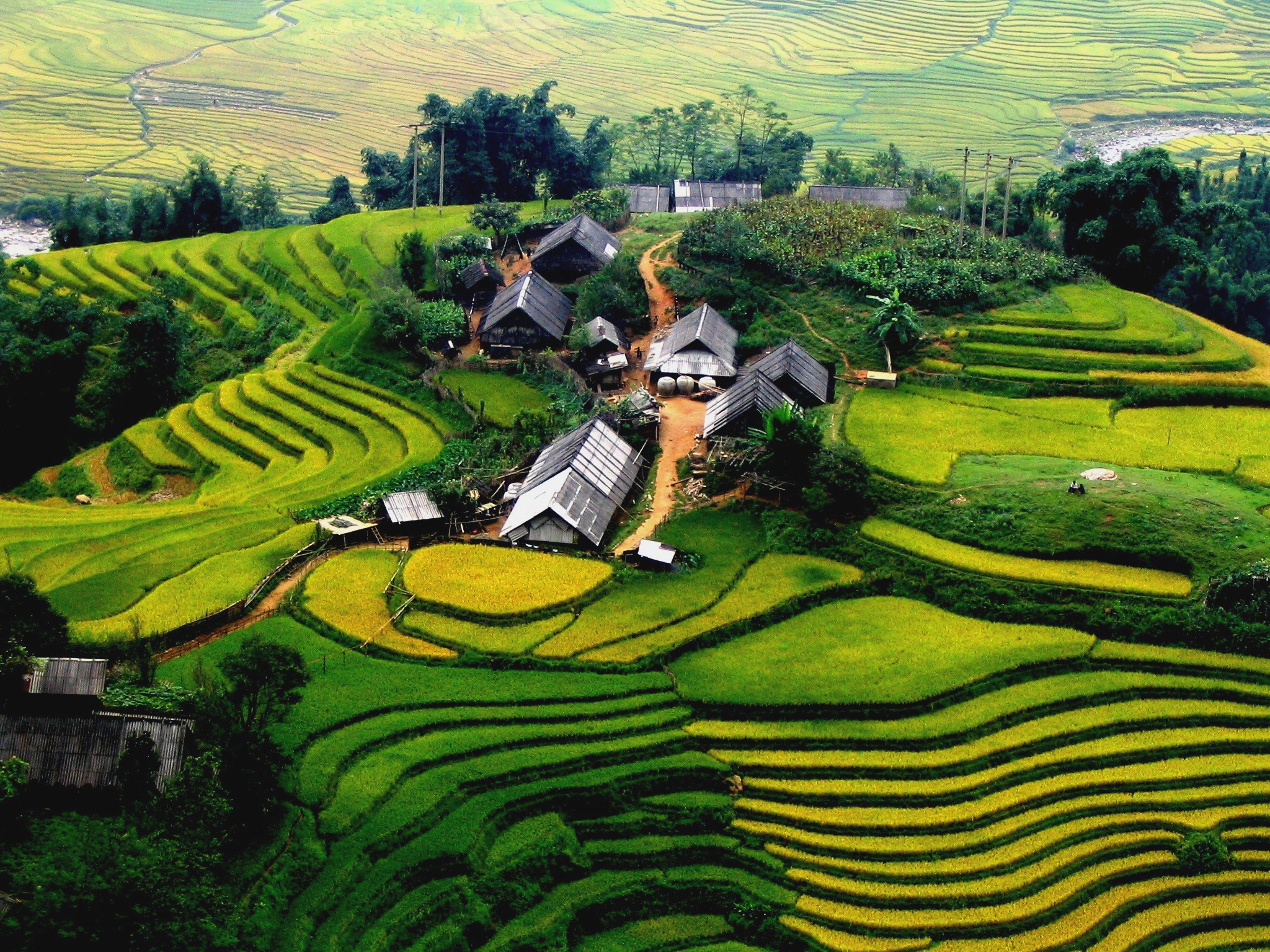 Y Linh Ho - Lao Chai - Ta Van Village Trekking - Day Tour