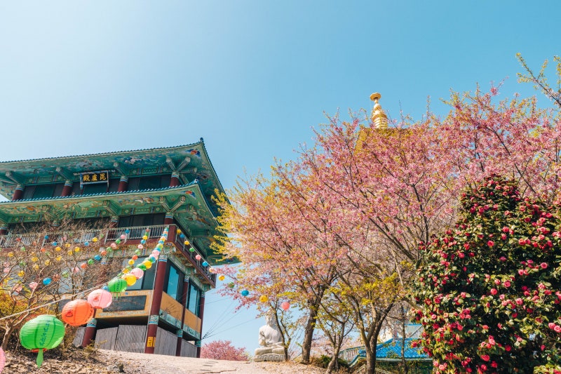 潮汐漲落，花瓣飄零，時光彷彿變得緩慢而深邃。海與花相遇之處，一份個人的寧靜正等待著。