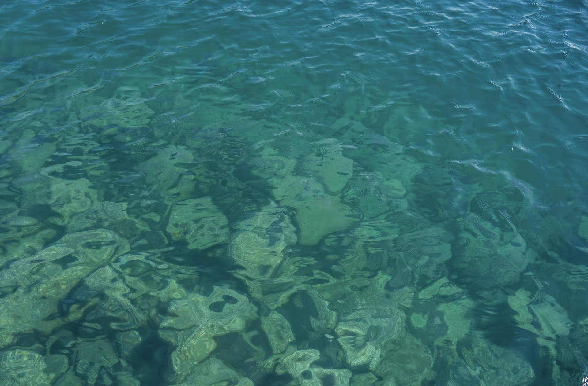 From Kyoto: Private Day Trip to Hidden Amanohashidate & Ine