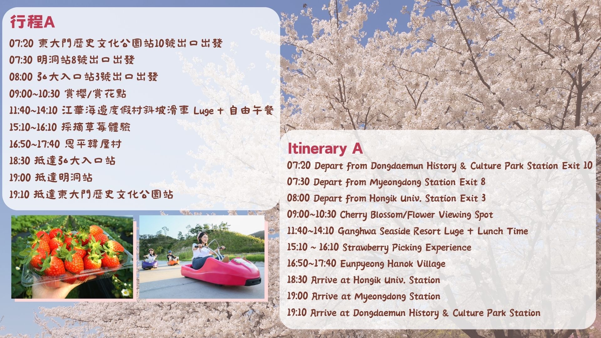 仁川春季限定之旅（首爾出發）