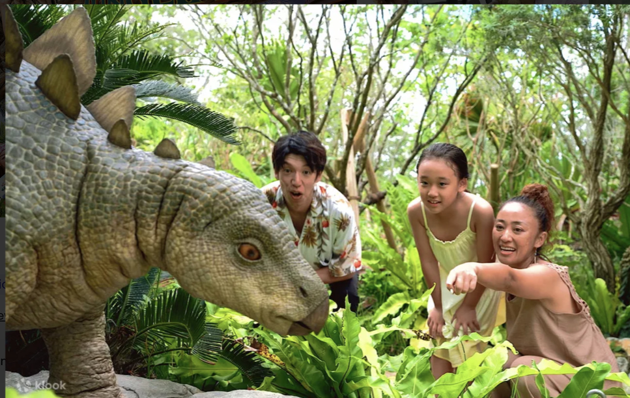 Upgrade your Okinawa adventure with the Premium Pass