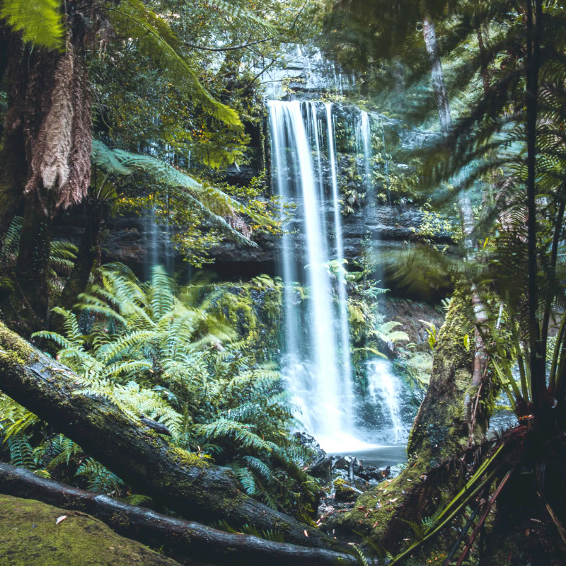 Tasmania Hobart Mount Field National Park Day Trip