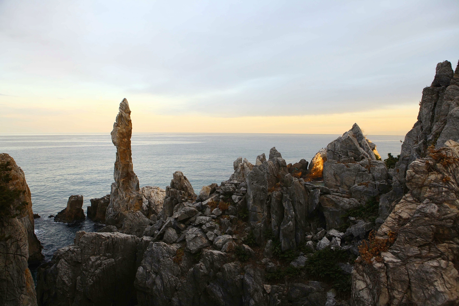 Gangneung & Donghae Tour by Donghae Line from Busan