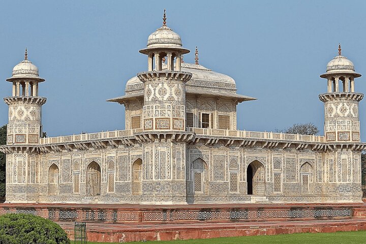 Wildlife SOS Rescue Tour from Jaipur or Delhi: Save & Support Animal
