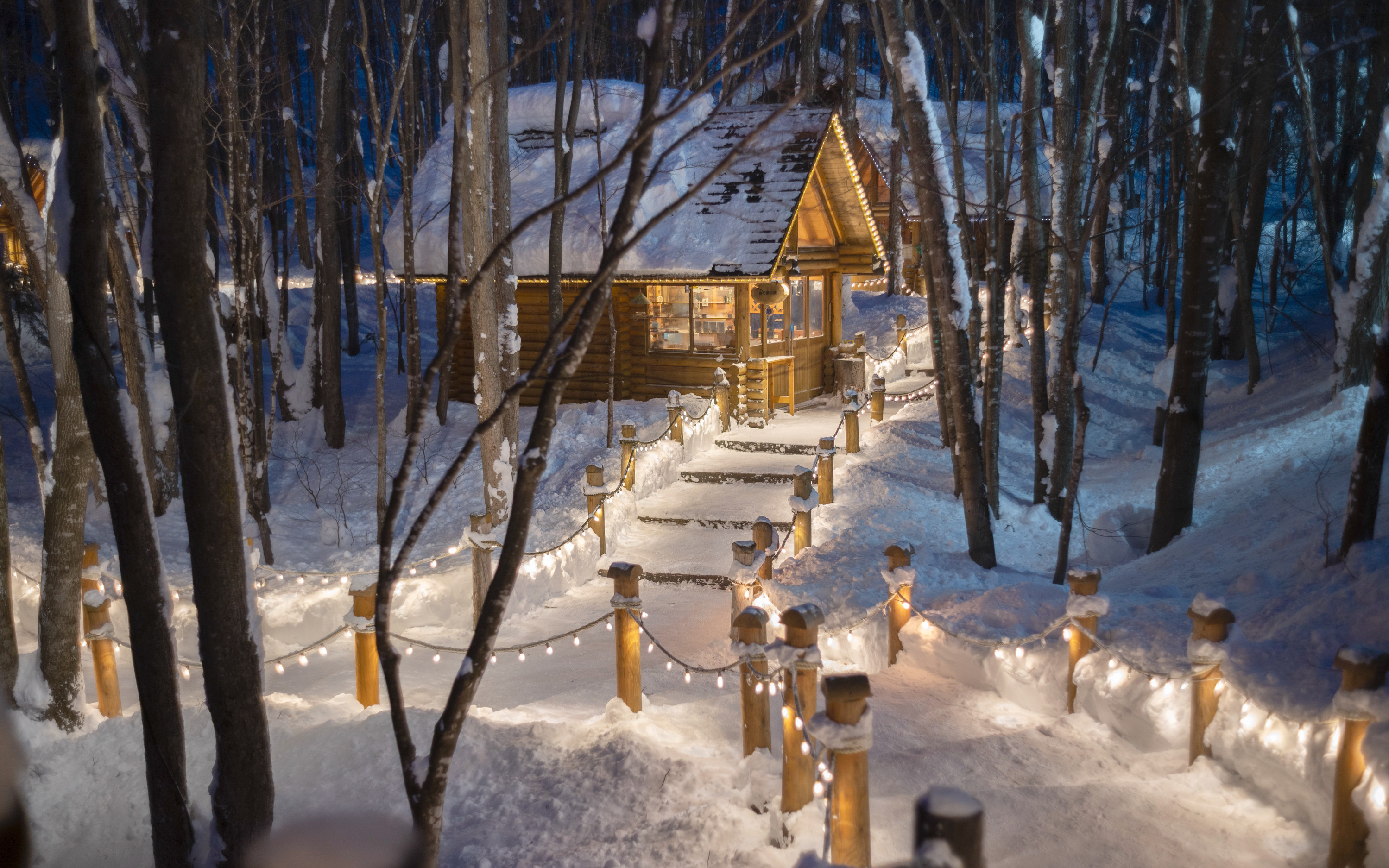 Hokkaido Super Chill 2-Day Light Trip | ROYCE' Chocolate Factory, Asahiyama Zoo, Biei Seven Star Tree, Shirahige Falls, Bibai Snowland Fun, Ningle Terrace Illumination | Chinese Tour Guide