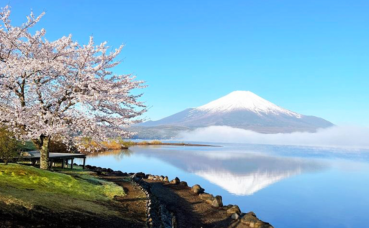 富士山山中湖單車騎行/遊船·忍野八海·河口湖大石公園/楓葉迴廊·新倉山淺間公園/天梯小鎮一日遊｜東京出發｜4~9人精品小團