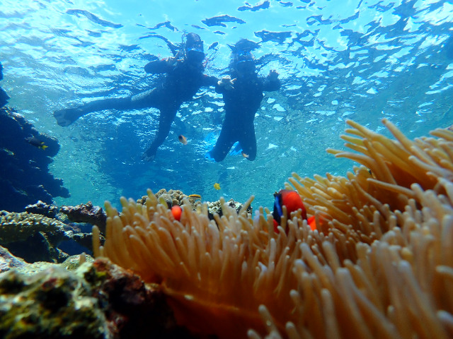Ishigaki Island/1 day Kabira Bay SUP/Canoe & Blue Cave Snorkeling Experience (Okinawa)