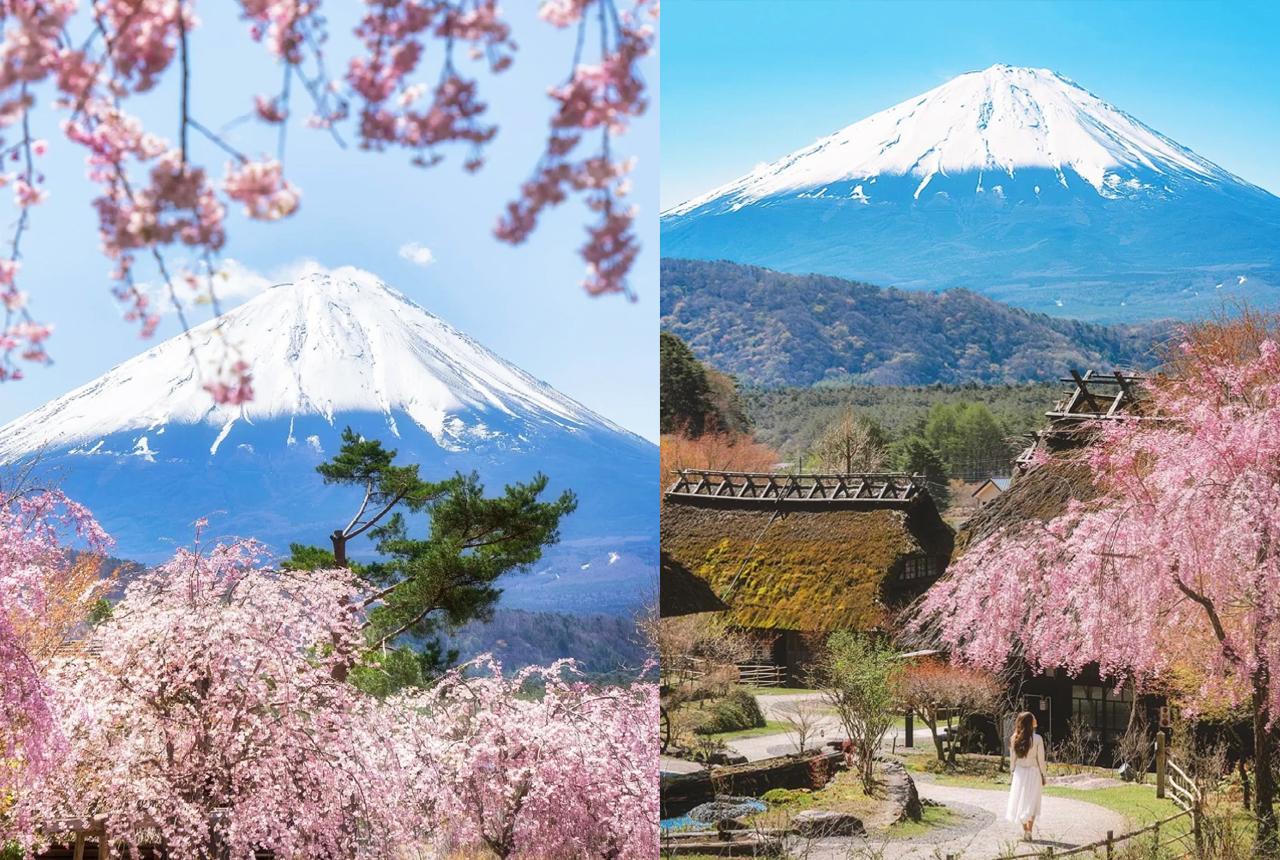 富士山一日遊 網紅打卡景點 | 新倉山淺間公園、西湖療愈之里根場、忍野八海、河口湖大石公園 | 隨機贈送好運信物 （東京出發）