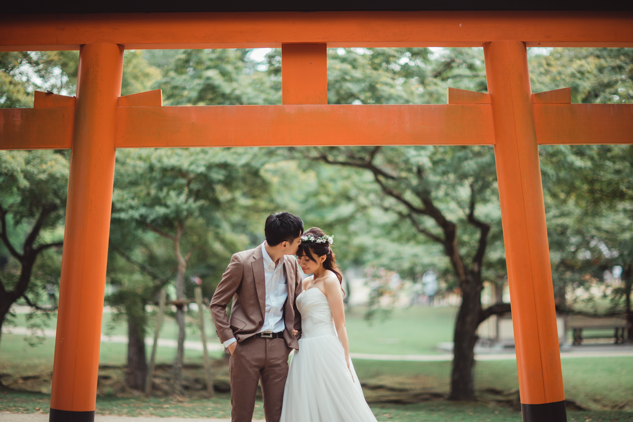 奈良公園 - 廣闊的公園,有自由漫步的鹿群,並可欣賞東大寺的景色,提供有趣且標誌性的畫面。 奈良公園 - 廣闊的公園,有自由漫步的鹿群,並可欣賞東大寺的景色,提供有趣且標誌性的畫面。