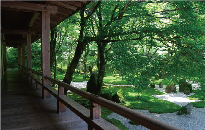 Fukuoka Nishitetsu Sightseeing Pass: Round Trip Fukuoka - Dazaifu