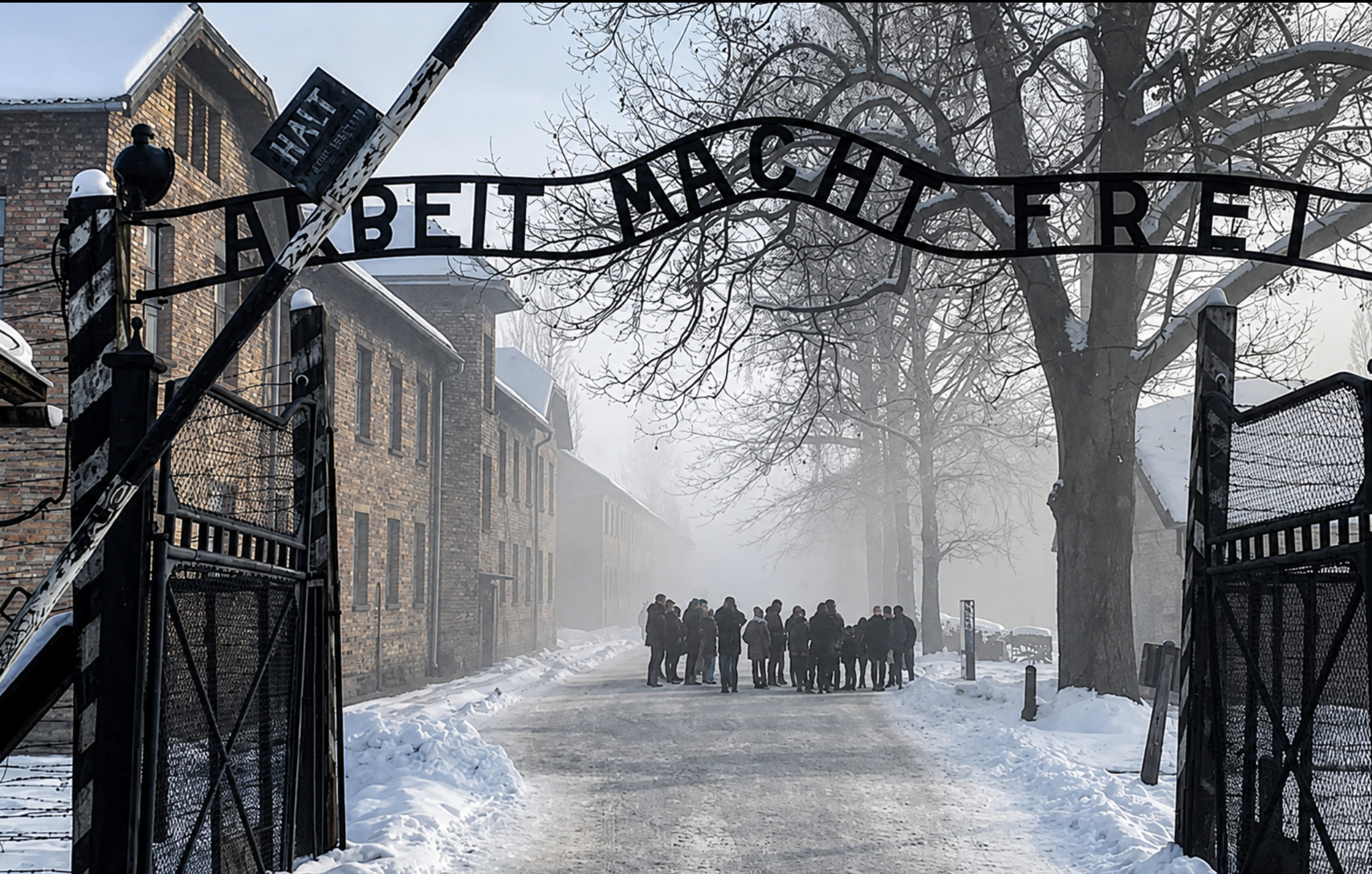 Auschwitz-Birkenau Tour from Krakow with Transport