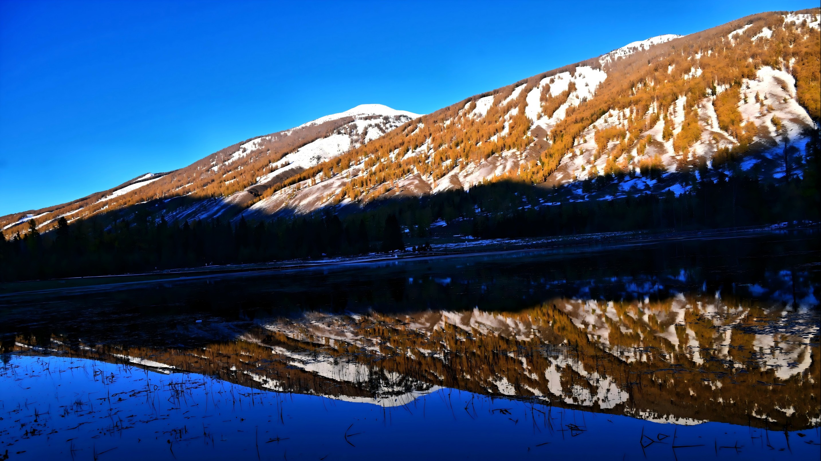 Kanas Lake is like a sparkling and clear gem embedded within, the color of a high mountain glacial lake, a blue that seems otherworldly.