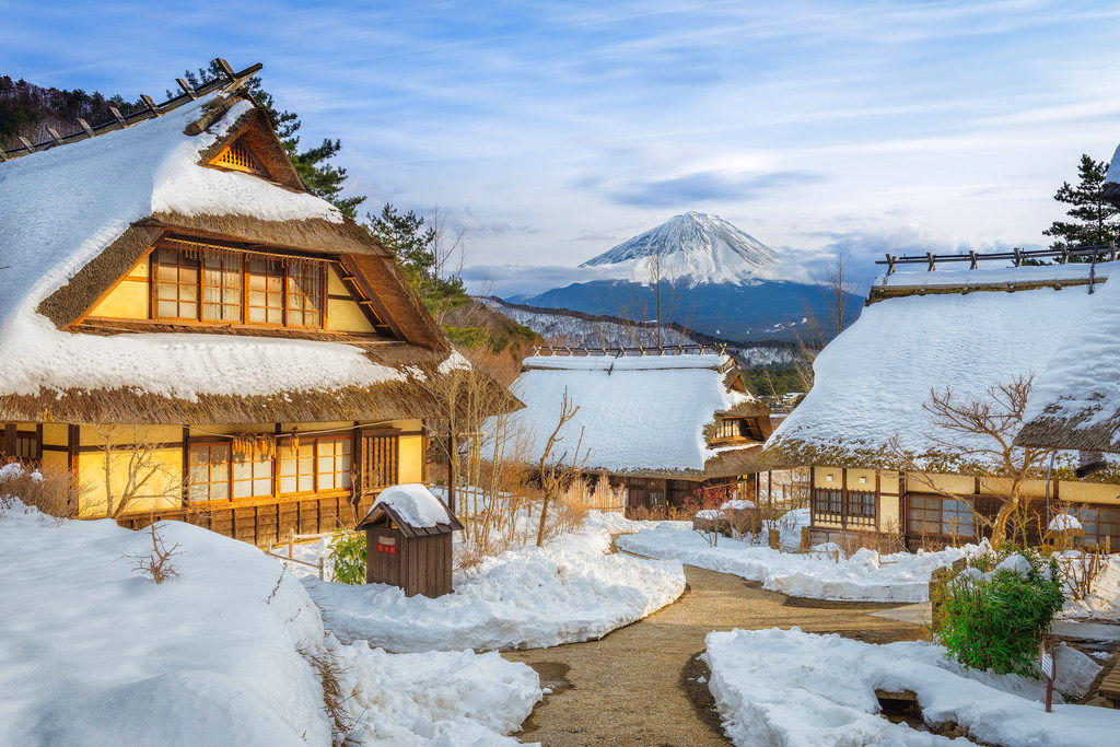 Mt Fuji Ice Cave & Saiko Healing Village & Oishi Park One Day Tour 
