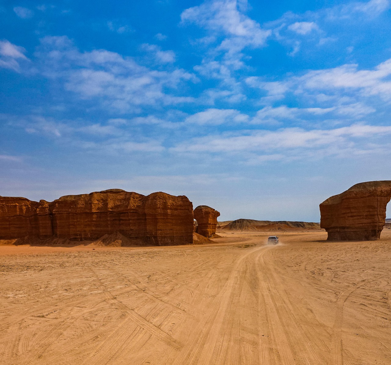 Namibe Desert Tour-Kamilunga Hills, Dunes, The Welwitchia Mirabilis
