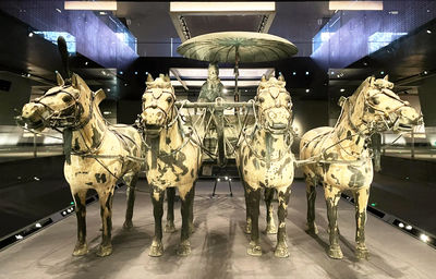 兩乘銅車馬比例精確，造型生動，形態各異，正是秦代藝術家們精湛的工藝水平賦予了冰冷的青銅無限的生命力