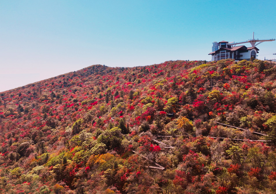 Balwangsan Cable Car from Seoul: Scenic Highland Views&Forest Trails