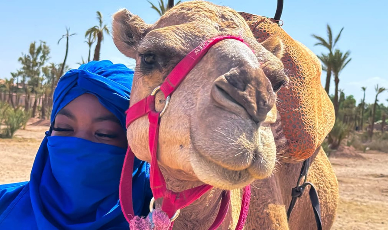 Marrakech Palmeraie Half-Day Private Camel Ride with Tea