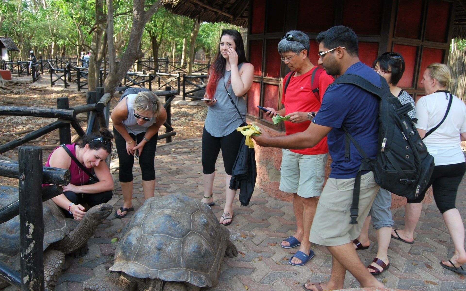 Zanzibar Stone Town & Prison Island Full-Day Tour with Snorkeling