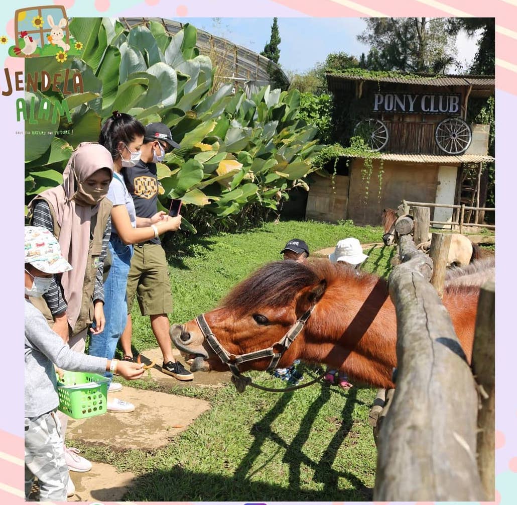 萬隆 Jendela Alam 動物樂園門票