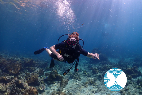 ライセンスなし トライスキューバダイビング（ピピ島 / PADI Dive Center提供）