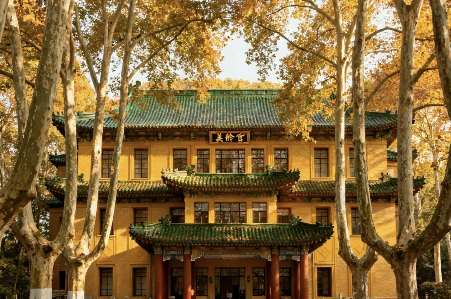 暖黃色的美齡宮被秋日梧桐簇擁,金黃的葉片與綠色琉璃瓦相映成趣,飛簷翹角間藏著民國建築的精緻匠心 暖黃色的美齡宮被秋日梧桐簇擁,金黃的葉片與綠色琉璃瓦相映成趣,飛簷翹角間藏著民國建築的精緻匠心