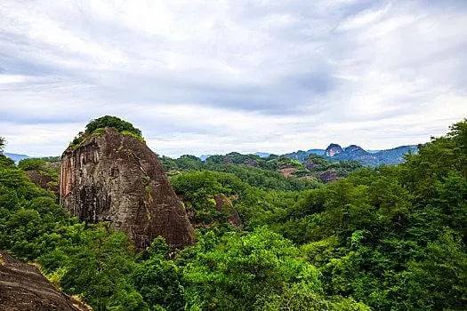 武夷山私人導覽2日遊 武夷山國家公園 九曲溪竹筏漂流