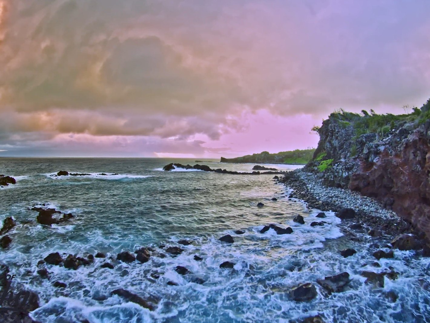 滑過充滿活力的太平洋水域,感受海風,並留意水下的海洋生物 滑過充滿活力的太平洋水域,感受海風,並留意水下的海洋生物