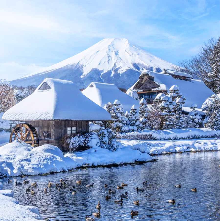 富士山與箱根「水陸空」探索之旅（贈箱根空車纜車　東京出發）