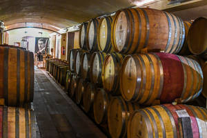 Guided bicycle tour through Stellenbosch