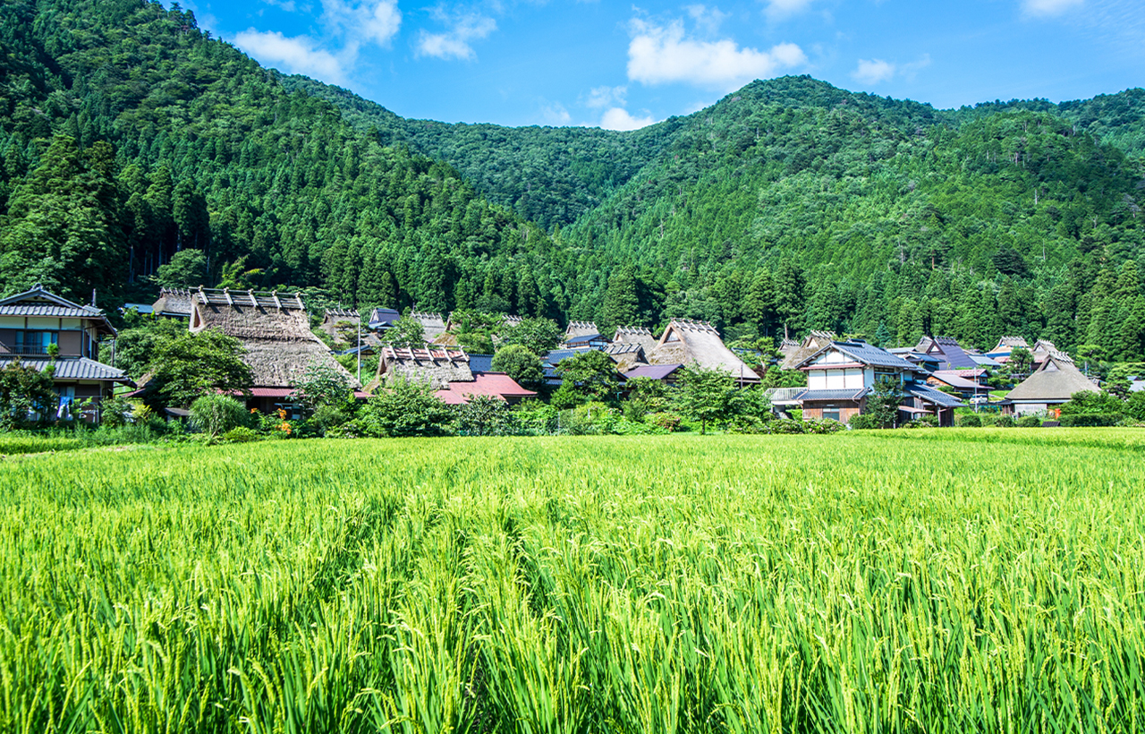 [Kyoto's Secret Gassho Village] Visit the Thatched Houses of Miyama Gassho Village + Amanohashidate Spectacular View + Ine Funaya Fishing Port + Funaya Days (Departing from Osaka)