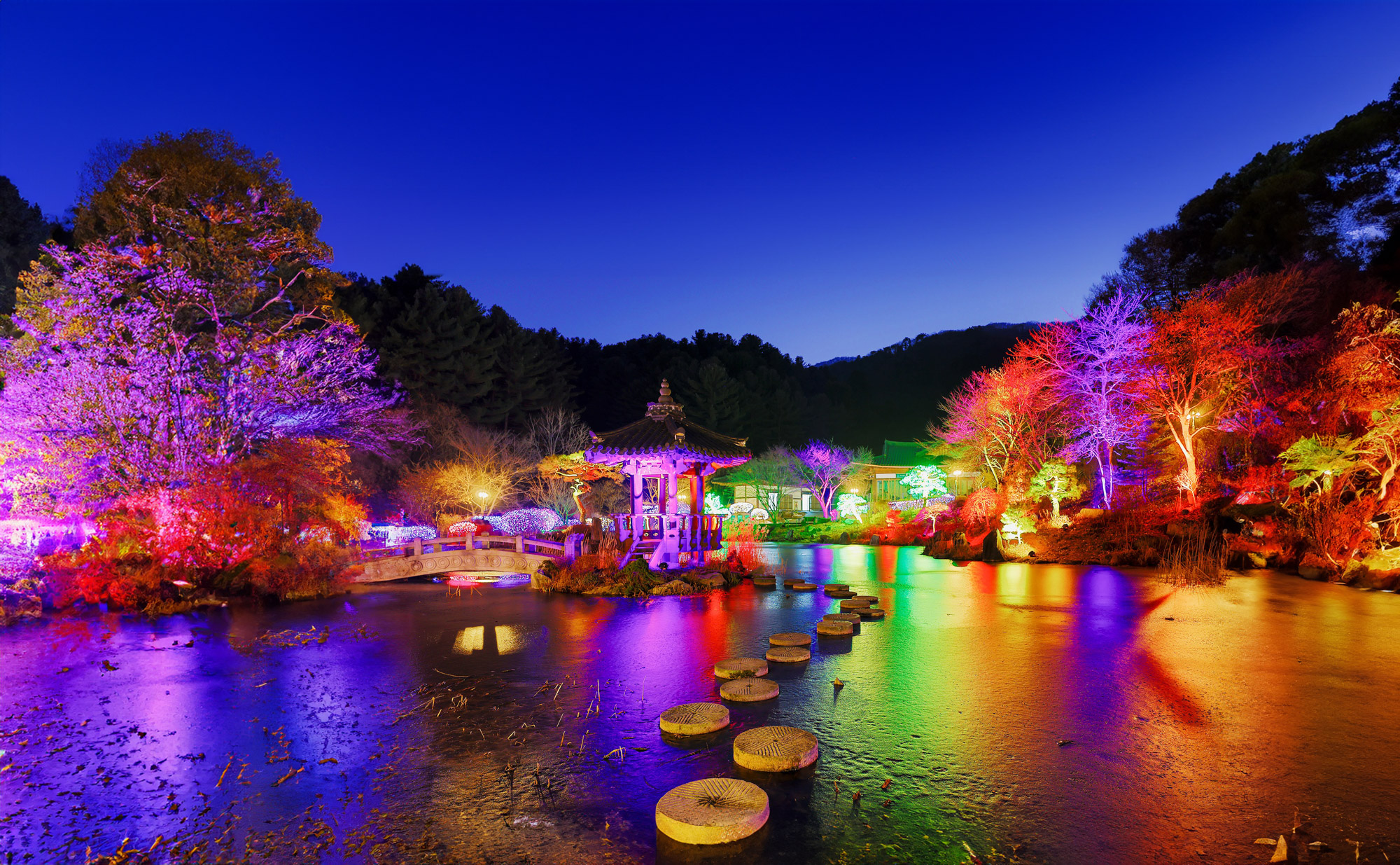 冬季（12月至3月中旬），晨靜樹木園將變身為一個神奇的燈光節，屆時超過30,000個LED燈泡將照亮330,000平方米的主題花園，形成充滿活力的隧道、閃閃發光拱門和異想天開的拍照點。