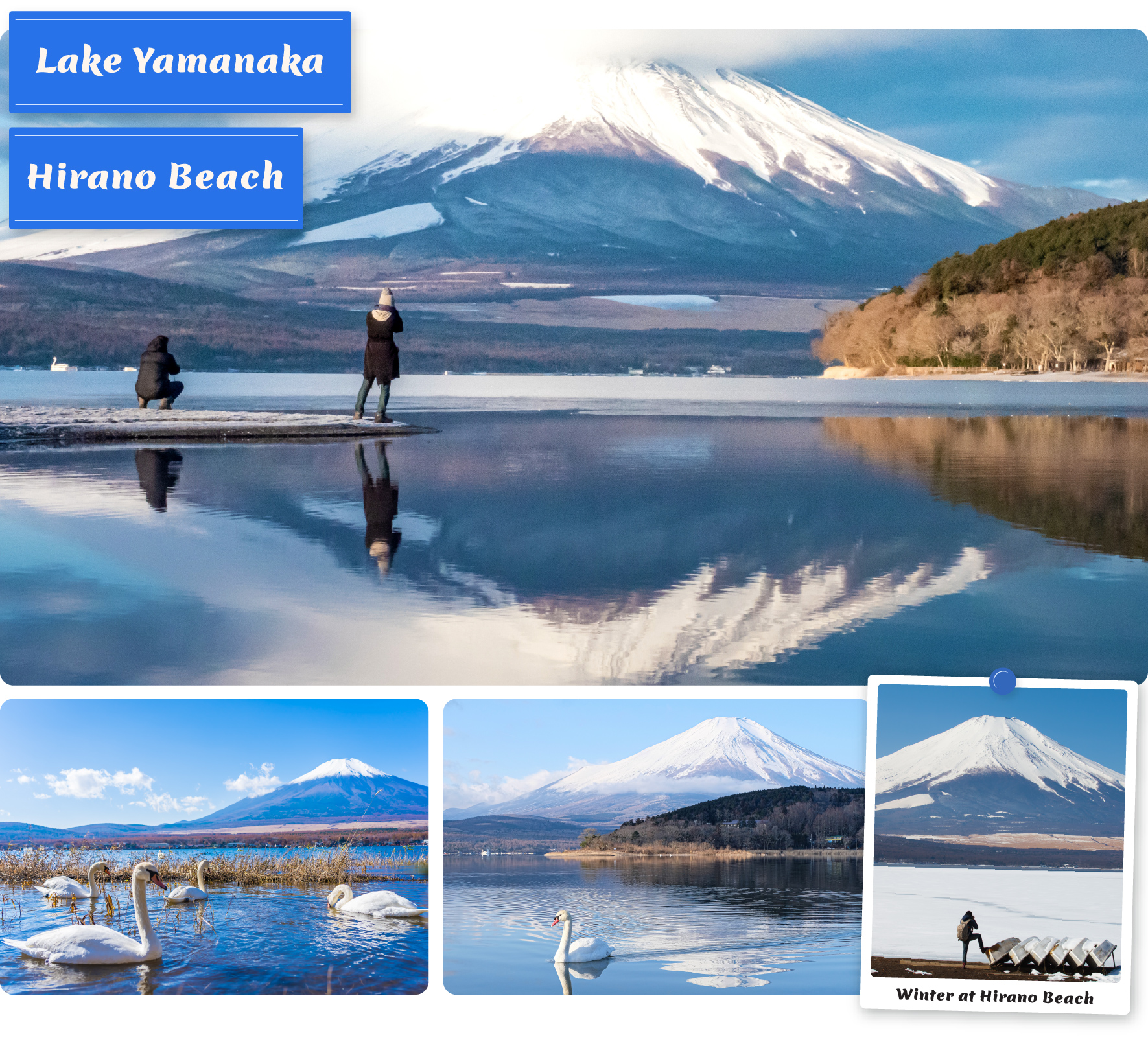 在山中湖——富士五湖中最大的湖泊——捕捉富士山倒映在平靜水面上的壯麗景色,以及優雅的天鵝在湖面滑翔的畫面。 在山中湖——富士五湖中最大的湖泊——捕捉富士山倒映在平靜水面上的壯麗景色,以及優雅的天鵝在湖面滑翔的畫面。