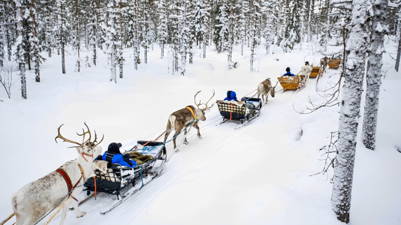 羅瓦涅米傳統馴鹿農場之旅，包含2公里雪橇之旅