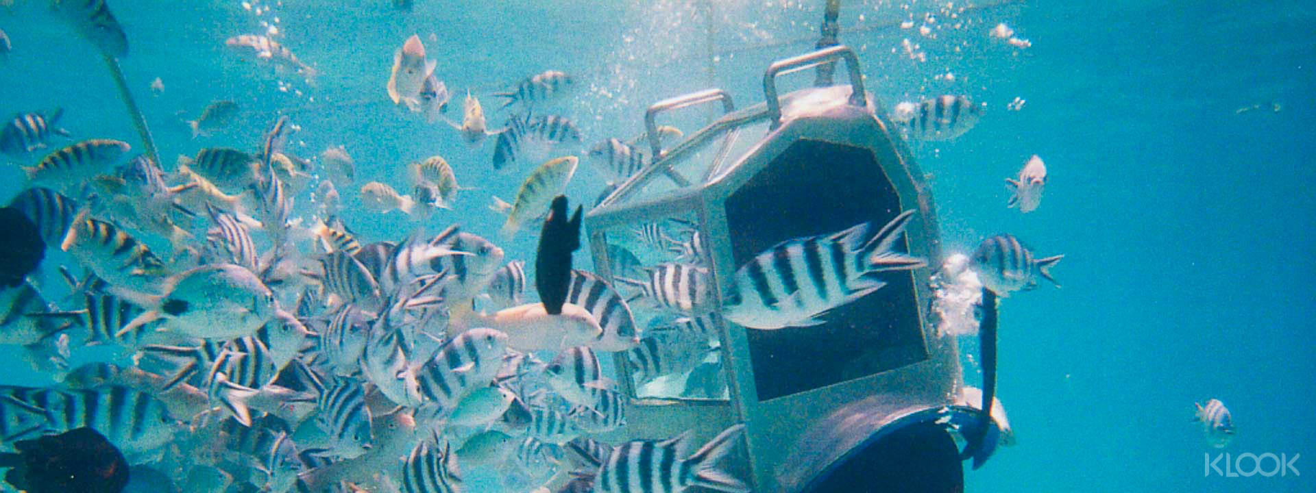 Solar Undersea Walk