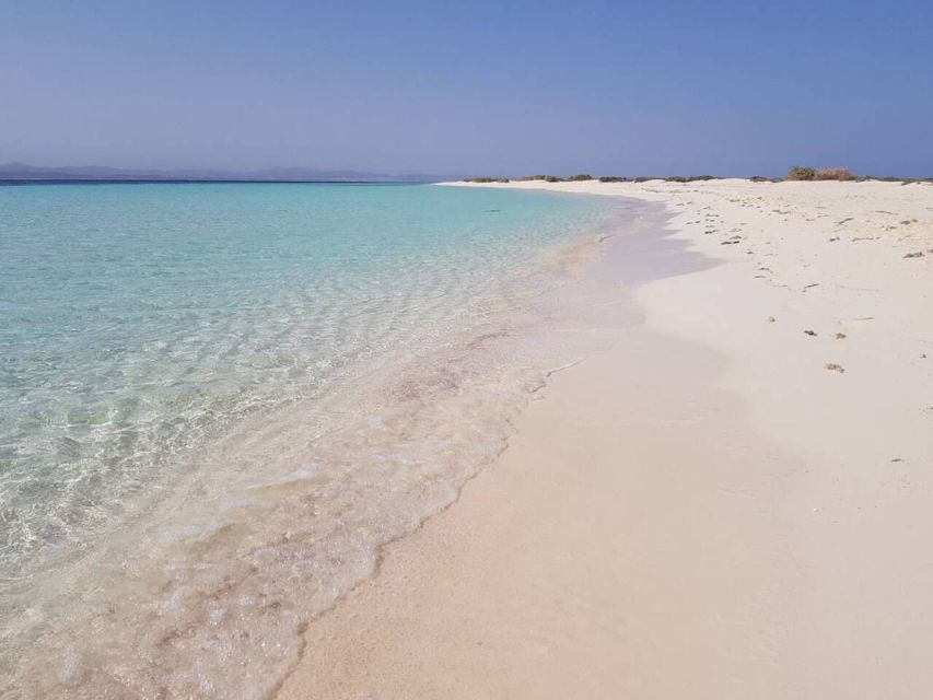 Marsa Alam: Hamata Islands Snorkeling Trip with Lunch